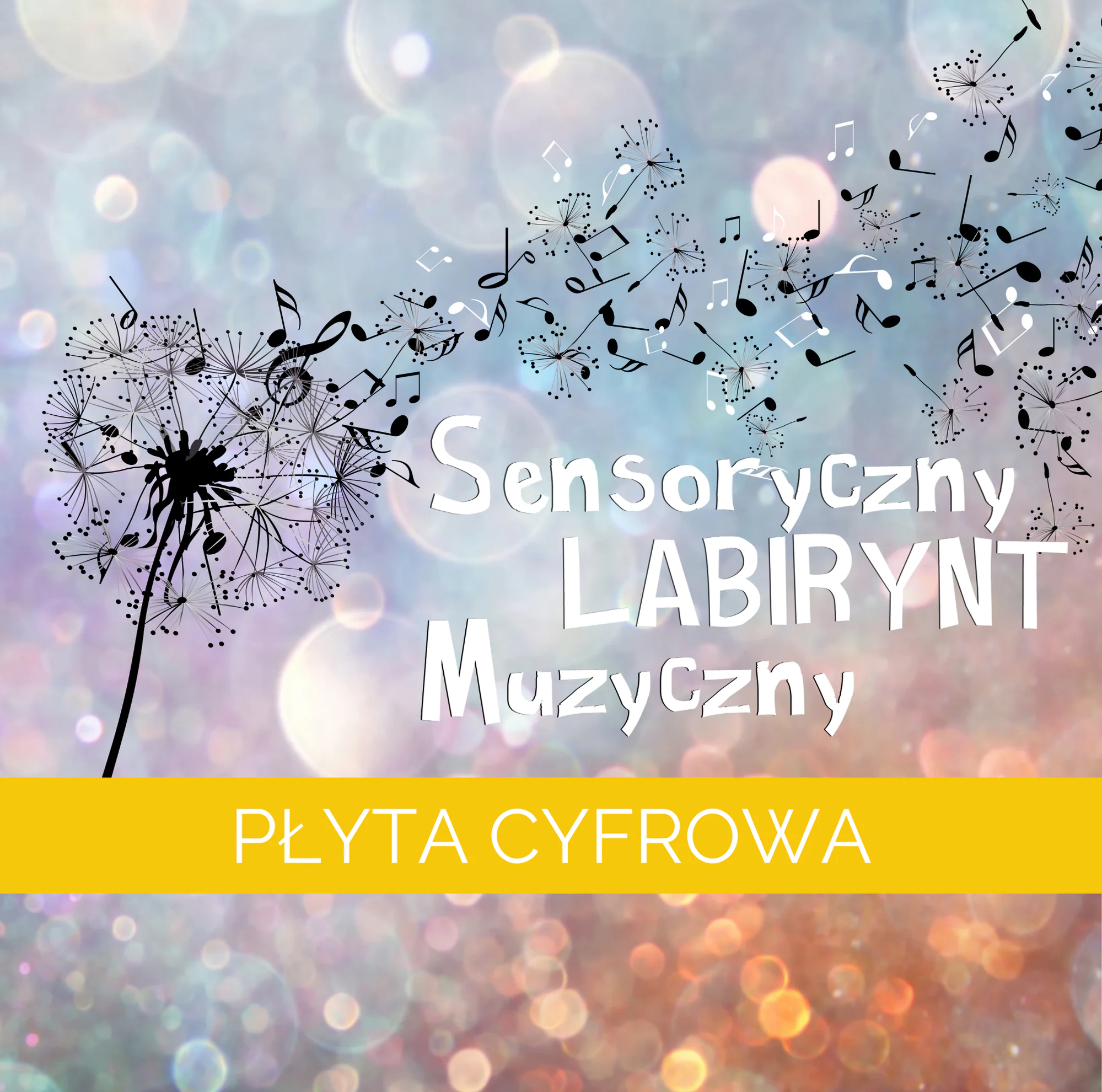 Płyta SENSORYCZNY LABIRYNT MUZYCZNY